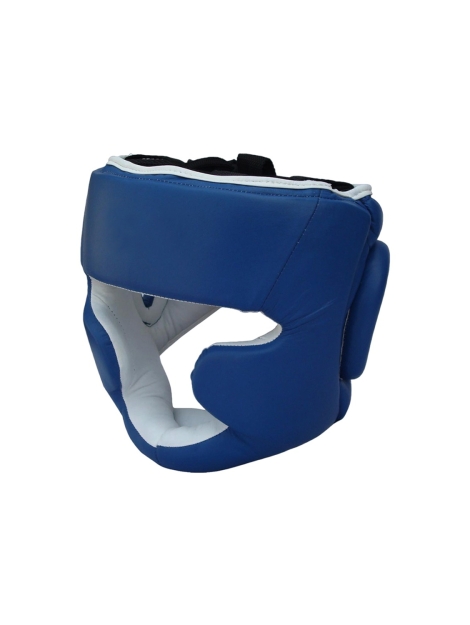 BlueWhite_Head_Gear