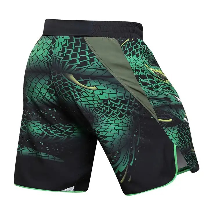 Grappling Shorts - Image 2