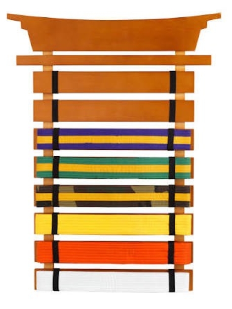 wall-mounted-rank-belt-holder