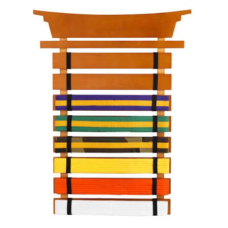 Wall mounted belt display rack